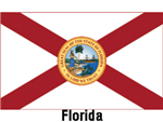 Annin 12in x 18in Florida Flag – 140947WE
