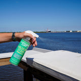 Spraying mildew remover on cushion